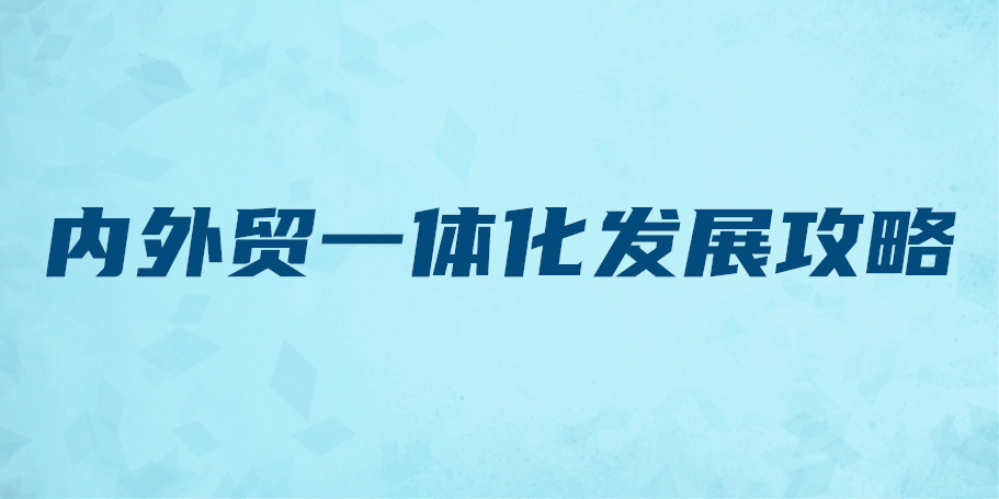 内外贸一体化发展攻略